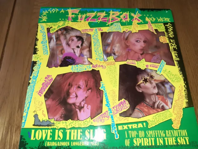 Weve Got A Fuzzbox And Were Gonna Use It 12 Inch Single Love Is The Slug VGC