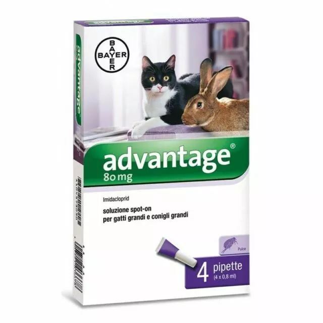 Bayer ADVANTAGE 80 mg per GATTI e CONIGLI → Antiparassitario Spot on 4 Pipette