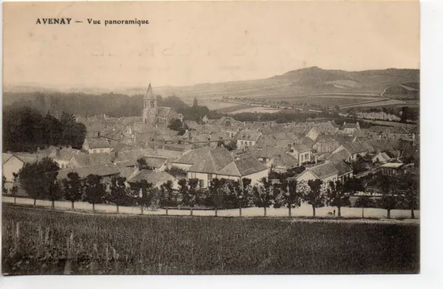 AVENAY - Marne - CPA 51 - vue panoramique