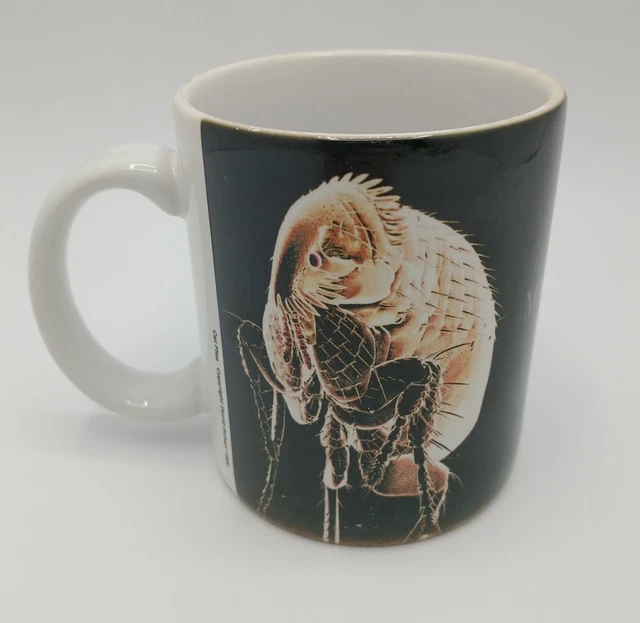 David Scharf Lehigh Microscopy Flea Photo 25th Anniversary Mug 1990 Rare