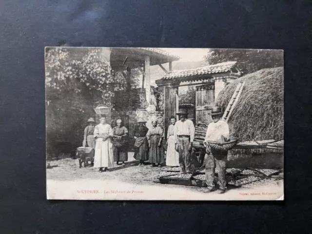 CPA St Cyprien (24) les sécheurs de prunes