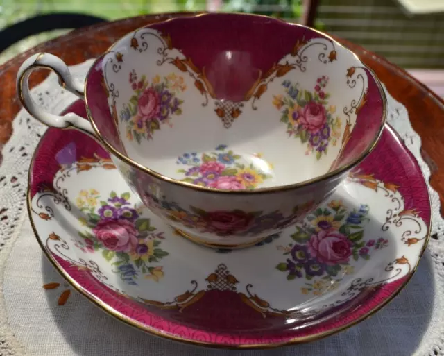 🌟Royal Grafton VINTAGE BURLINGTON 6799 Tea Cup and Saucer