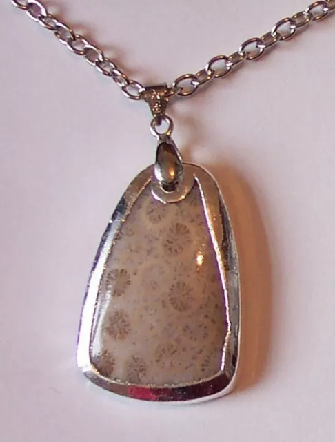 Silver Plated Fossil Wood Pendant + chain - protection, past life recall  A7