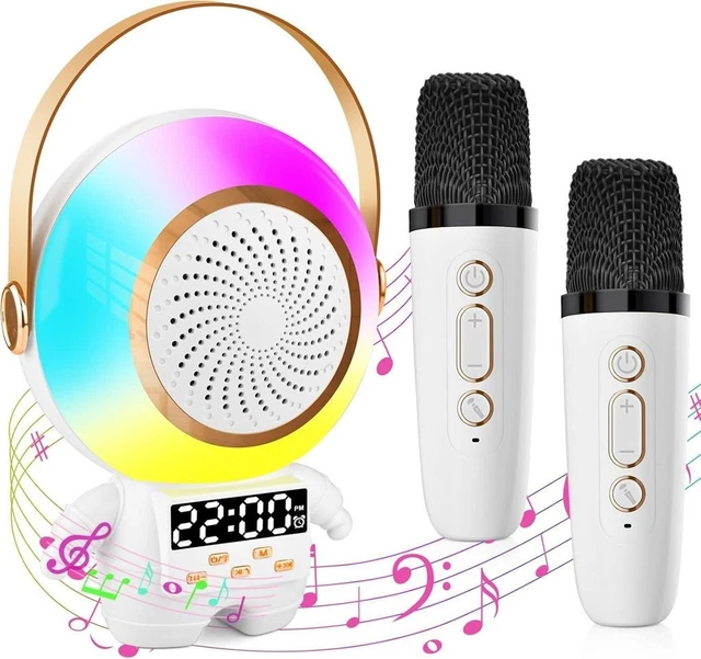 Karaoke adulte : le top 20 des de 2026