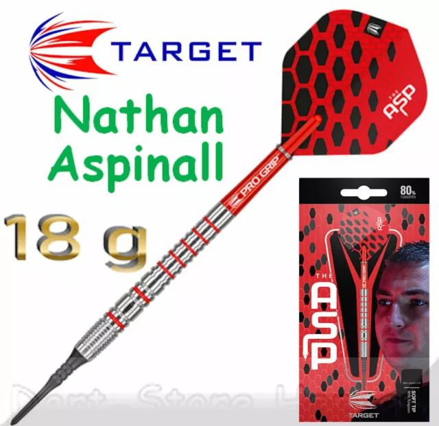 210086 Target Nathan Aspinall "The Asp "80% Dados Suaves,18g