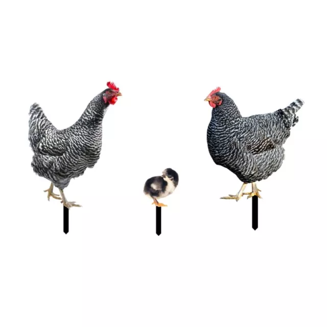 3 Pieces Acrylic Rooster Hen Chicken Lawn Stakes Yard Art Decor Stake Durable