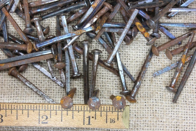 1 1/2” OLD Button rose Square NAILS round Domed head 50 in lot rustic vintage 3
