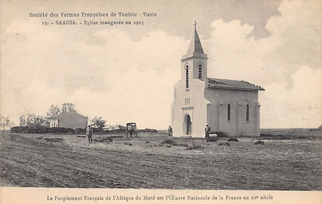 CPA AK TUNISIE TUNIS - Porte Bab Saadoun (239738