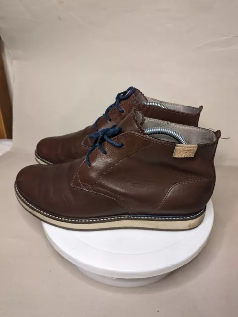 Lacoste millard chukka clearance