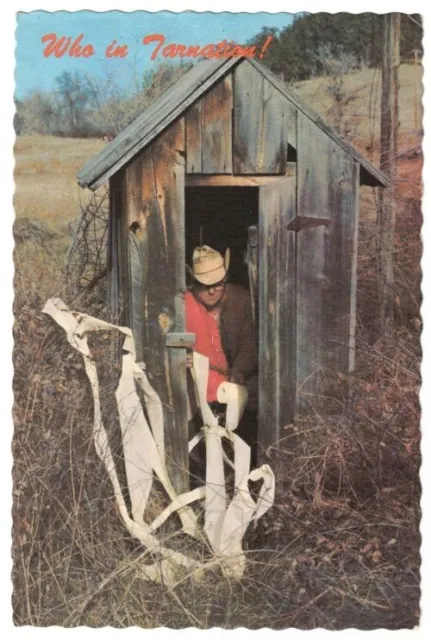 Who in Darnation Man in Outhouse Humorous Postcard Posted
