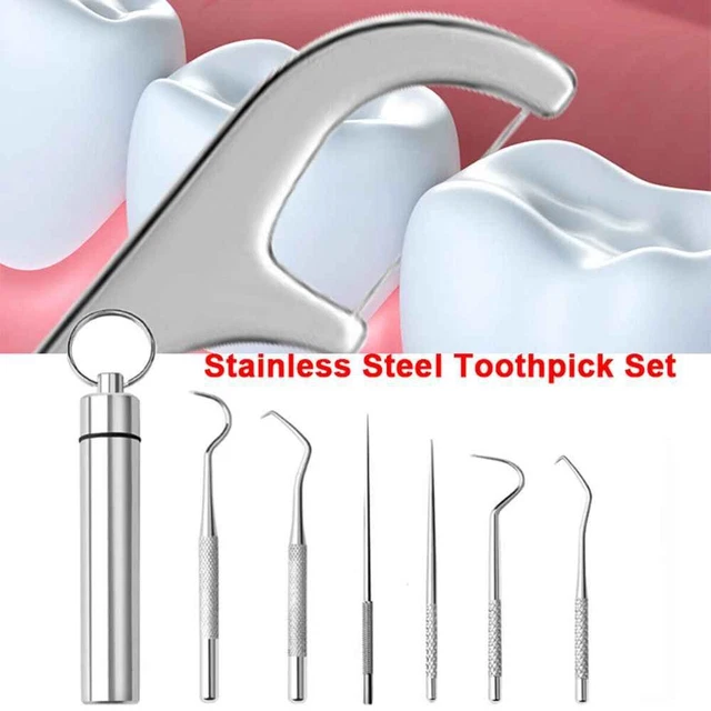 Portable Porteur de dents Outil de nettoyage Crochet interdentaire Cure-dents