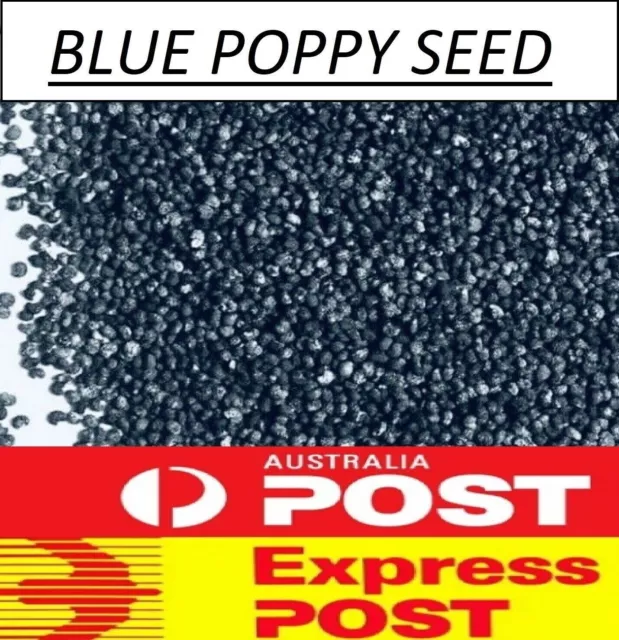 5kg BRAND NEW - Blue Poppy Seed Seeds - Express Postage Metro Melbourne