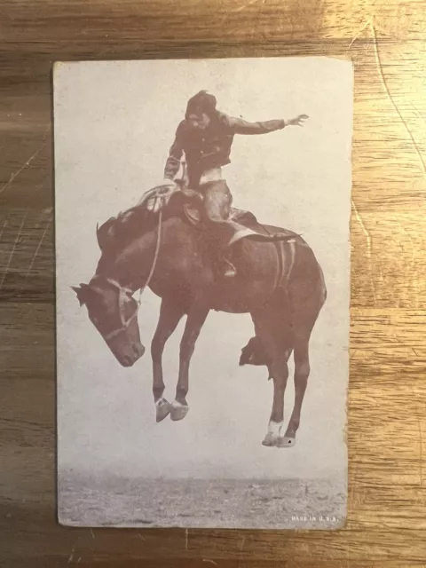 Vintage PostCard  Aged Condition Cowboy Riding Wild Horse - Arcade Card 3