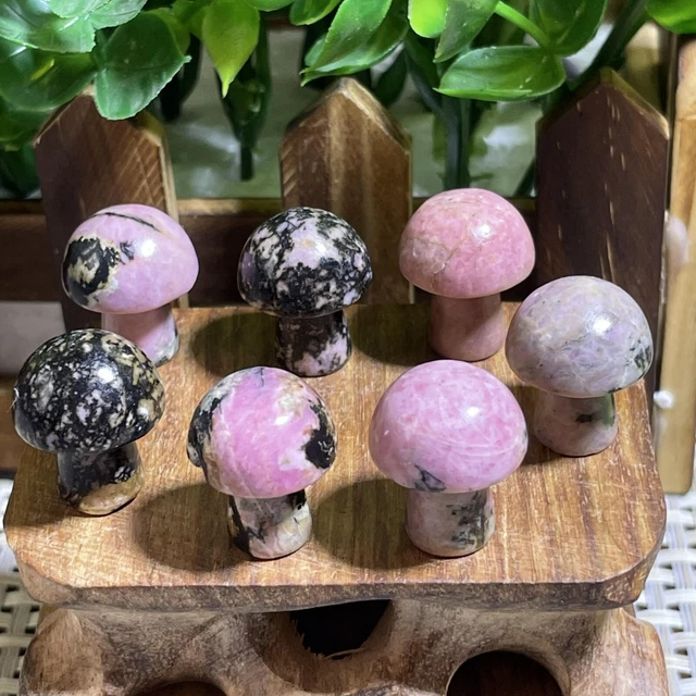 7pcs Natural Rhodonite Quartz Carved Crystal Mushroom reiki Healing Decor A1521 3