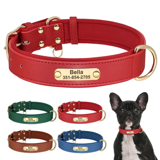 Soft Padded Dog Leather Collar Personalised Pet Name ID Tag Engraved Adjustable