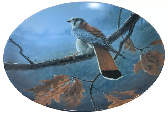 Edwin M. Knowles The American Kestrel Plate Daniel Smith The Majestic Birds