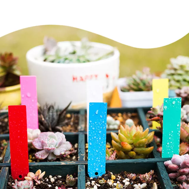 50PCS Reusable Waterproof Plastic Plant Flower Seed Labels Markers Garden CB