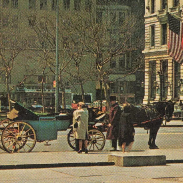 Postcard NY New York City Central Park c1964 Horse-drawn Carriage Hansom Cab