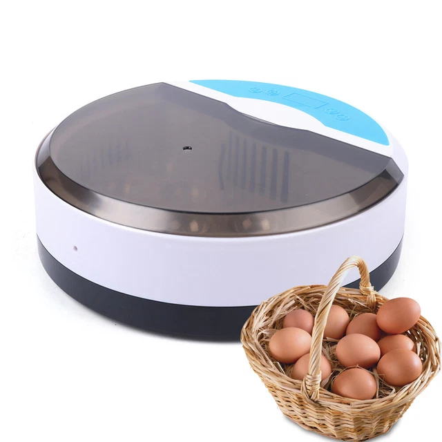 Incubatore Per Uova 8 Pollame - Controllo Temperatura E Umidità, 360° Trasparente, LED, Portatile - Foto 10