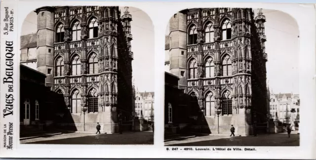 Belgique, Louvain (Leuven), Hôtel de ville, détail, Vintage print, ca.1910, Stér