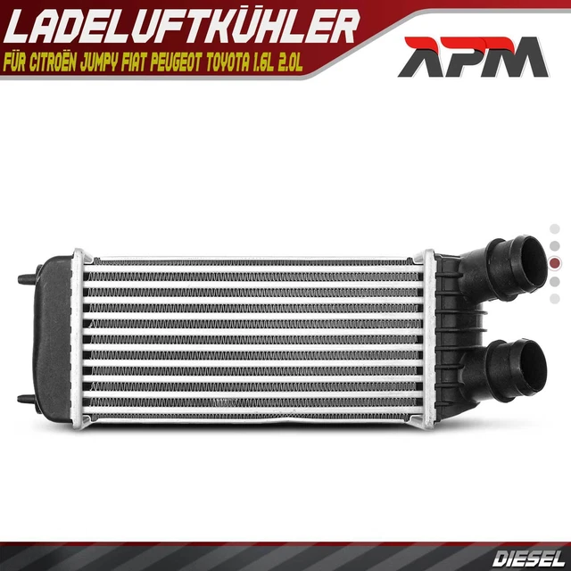 Silencieux Arrière Pour Citroën Jumpy, Fiat Scudo, Peugeot Expert (1.9D, 1.6) 1995-2007