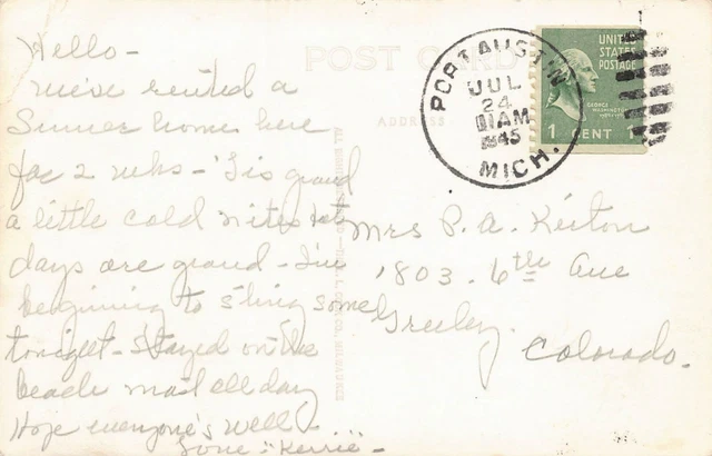 RPPC Port Austin MI Michigan Reef Light Lighthouse Beach Lake Vtg Postcard Z1 2