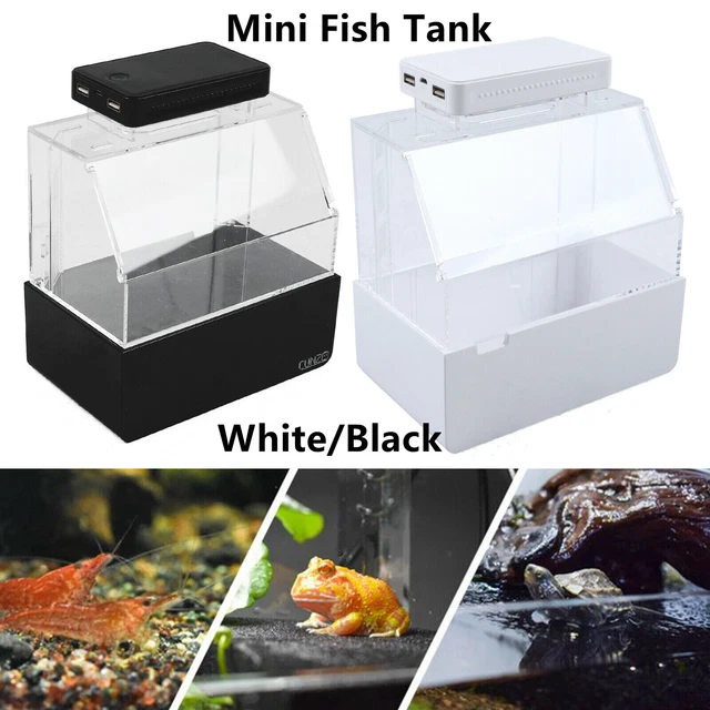 Fish Tank Desktop Mini Aquaponic Aquarium With LED Lamp Water Filter Air Pump