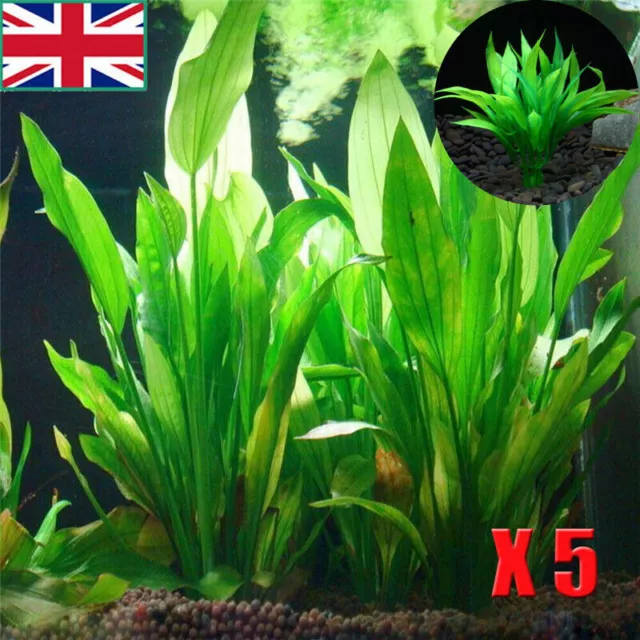 Artificial Fake Plastic Water Grass Plants for Fish Tank Aquarium Ornament UK