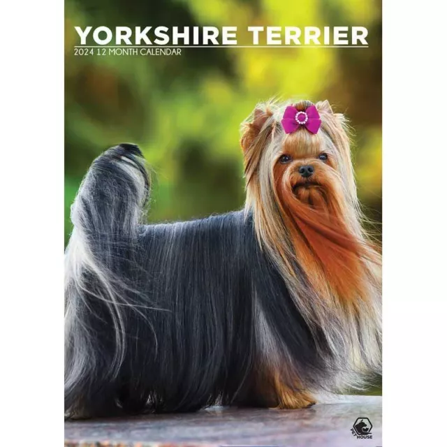 Yorkshire Terrier 2024 Calendar A3 Wall Calendar