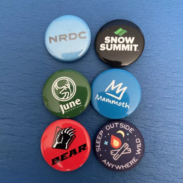 6 Piece Mixed Lot Mammoth Snow Summit Souvenir Ski Pins  + Others