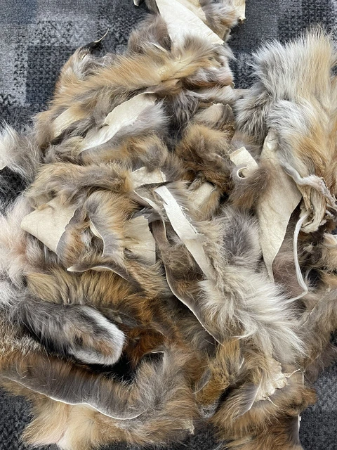 pelz fuchs Reste