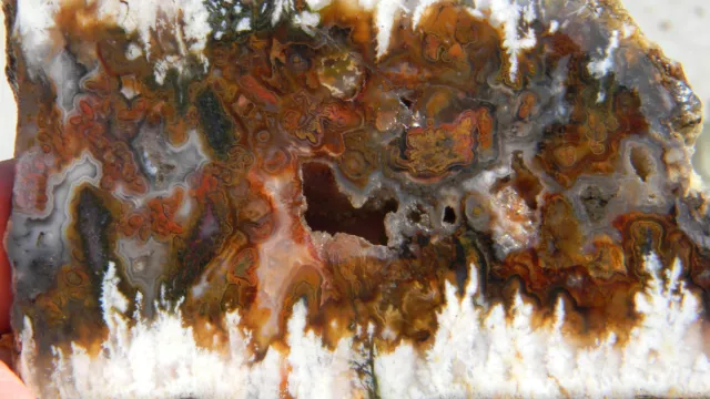 Amazing Unknown Mystery Plume Agate Slab Slice Lapidry Rough