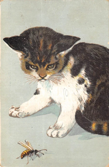 CPA Fantaisie Ancienne – Chat Et Fillette – Noir Et Blanc – France (75) – Vers 1900