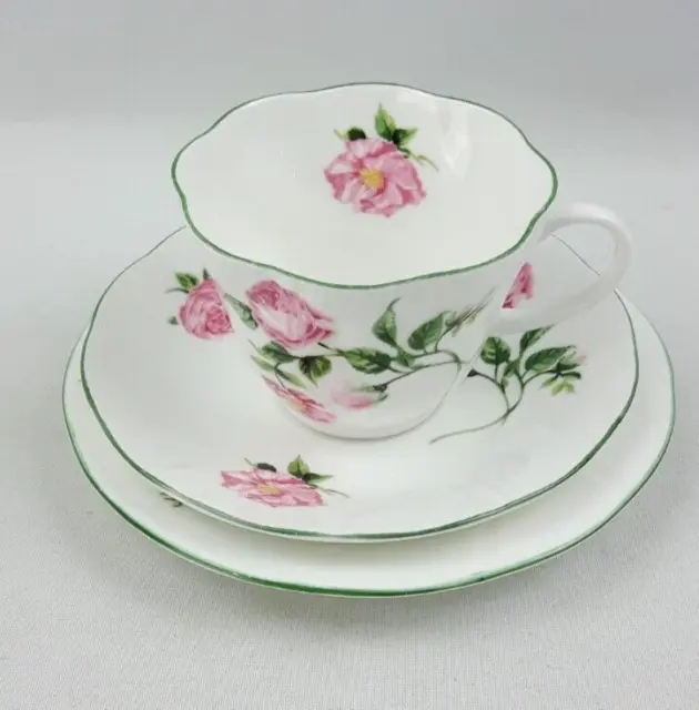 Rosina China Mottisfont Roses For National Trust - Tea Trio - Cup Saucer Plate