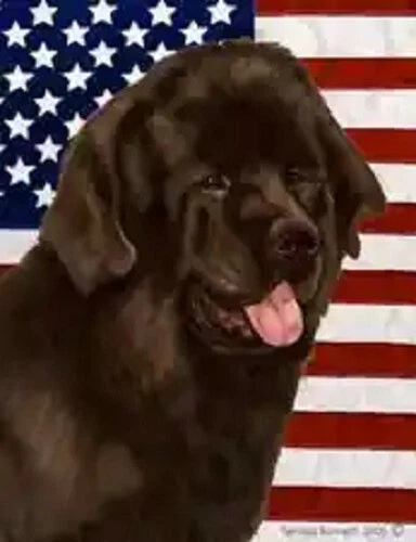 Patriotic (D2) House Flag - Chocolate Newfoundland 32910