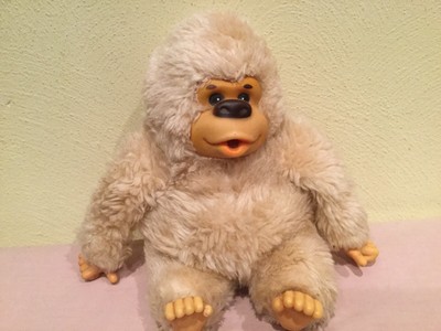 russ gonga