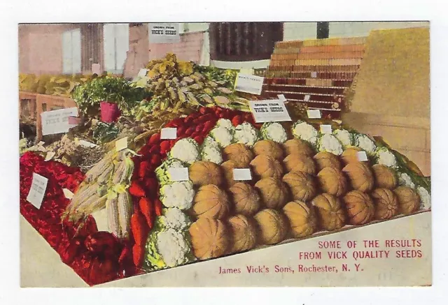 Early 1900's Adver. Postcard James Vick's Son's Quality Seeds Unposted