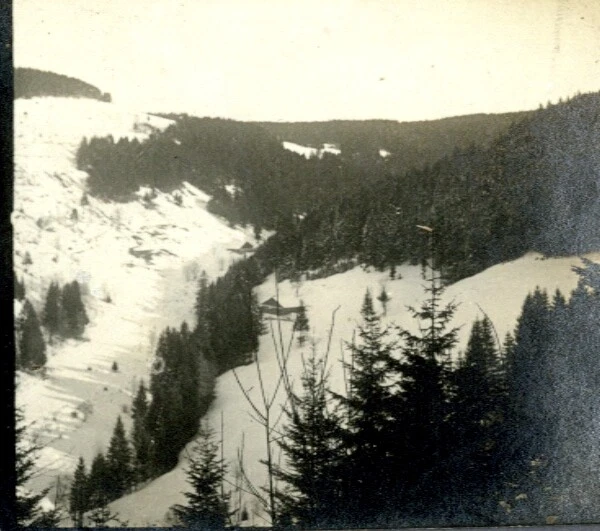 Les Vosges Paysage d' Hiver Winter Landscape Old Photo Stereo Stereoview 1900