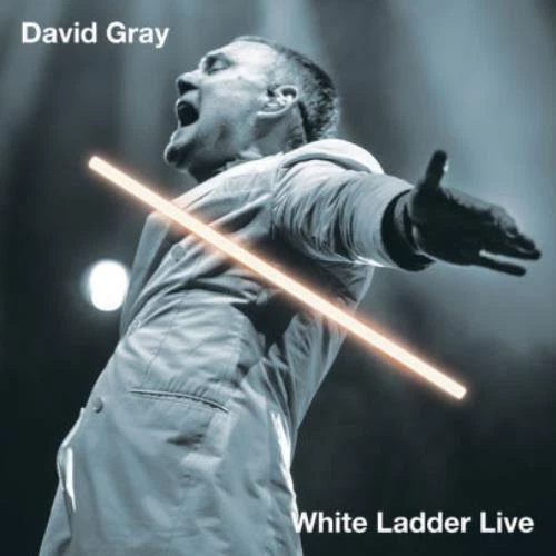DAVID GRAY: WHITE LADDER LIVE (LP vinyl *BRAND NEW*.)