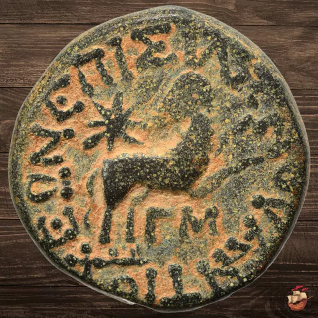 Roman Provincial coin - Seleucis and Pieria - Augustus (12/13 AD) - Zeus *J053