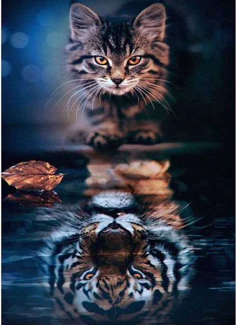 Kits de pintura de diamantes para gatos y tigres para adultos - kits de pintura artística de diamantes para gatos fo