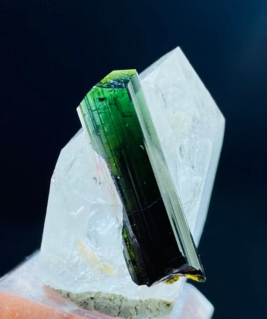 Terminated Emerald Green Tourmaline Crystal host with Quartz Point From Afghanis