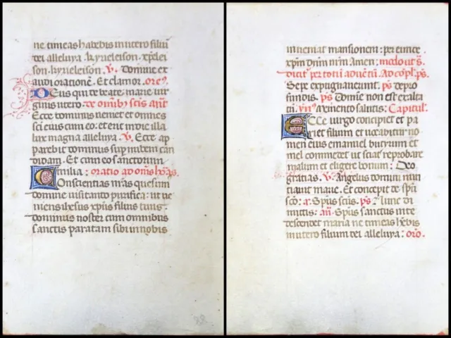 Handschrift Pergament Blatt aus Stundenbuch um 1500 farbige Initalen (112)