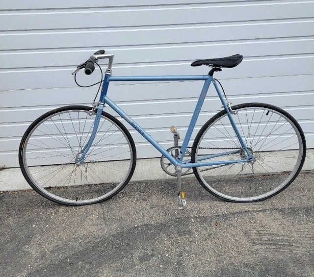 raleigh bike aluminum frame
