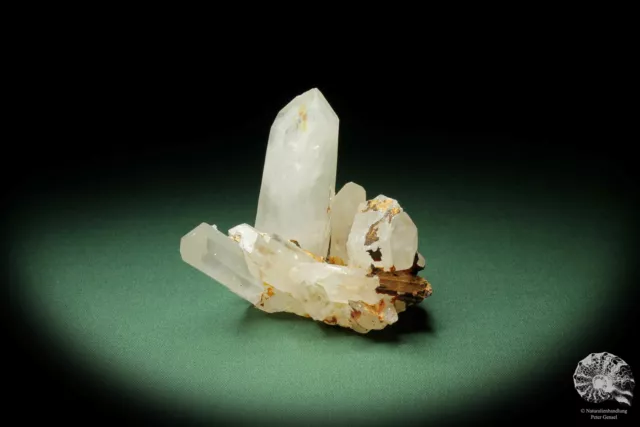Bergkristall Madagaskar Stufe Mineral Sammlung Kristall Deko deco