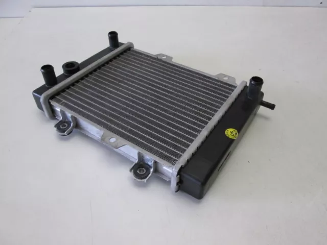 Wasserkühler Original Kühler Radiator Hyosung MS3 i 125 - 250 3