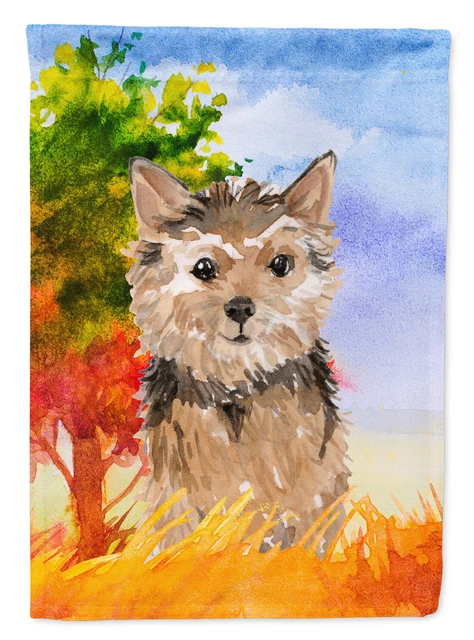 Fall Norwich Terrier Flag Garden Size CK1936GF
