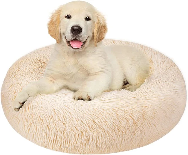 Nasjac Lit apaisant pour Animaux de Compagnie, Coussin Chat en Peluche...