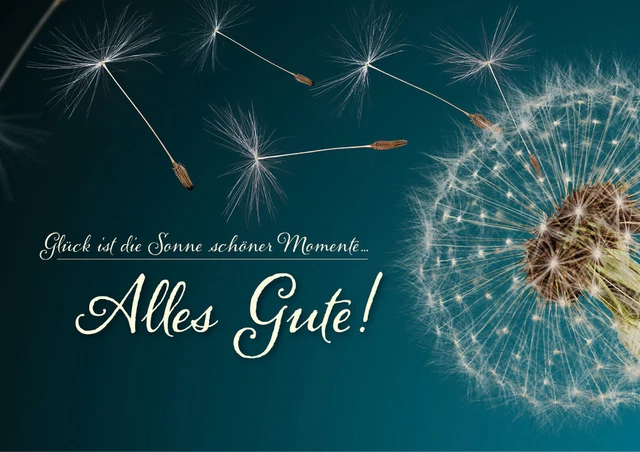 DOPPELKARTE KUVERT GLÜCKWUNSCHKARTE Karte Geburtstag Pusteblume Alles