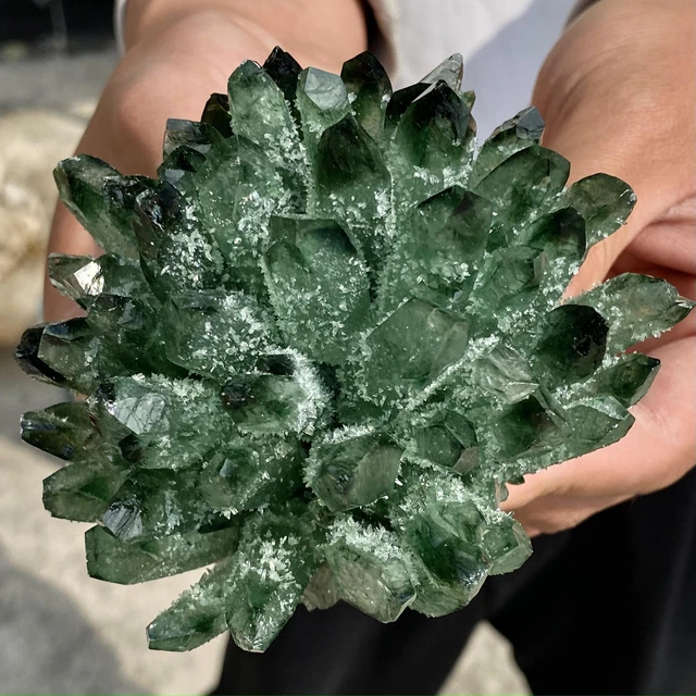 1.30LB New Find Green Phantom Quartz Crystal Cluster Mineral Specimen Healing 2